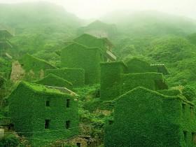 浙江被废弃的小渔村红遍网络 宛如绿色童话世界