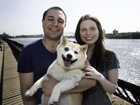 柴犬Cinnamon的微笑:世界上最幸福的狗狗