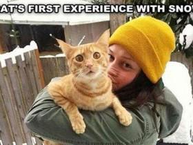 20张动物们超级珍贵的第一次