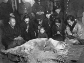 《忠犬八公》的历史故事和真实照片 请自备纸巾