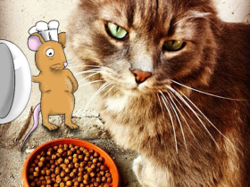 帮助可爱的动物们PS 让它们更萌更可爱(第三期)