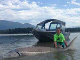 放生视频：加拿大9岁男孩捕获272公斤大鱼