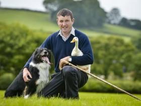 英国农夫的一只边牧犬不牧羊 专门来训练鸭子
