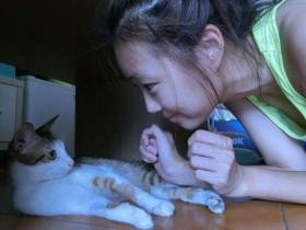 前黑涩会妹妹领养一只后瘫的猫咪 一个月后奇迹发生