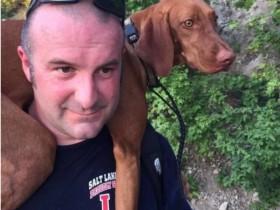 一只狗狗受惊后狂奔4.8公里 消防员将其从山上扛下来