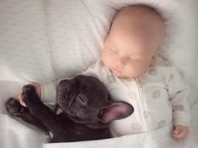 同一天出生的宝宝和狗狗