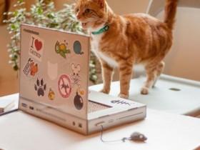 猫咪专用笔记本电脑 有了这个再也不担心猫咪打扰你上网