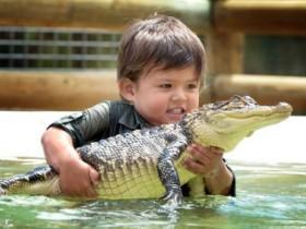 澳大利亚5岁鳄鱼猎手扛过大蛇 3岁和鳄鱼摔过跤