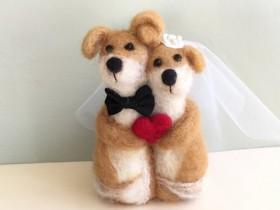结婚的时候可以加点宠物元素 能让婚礼更有趣