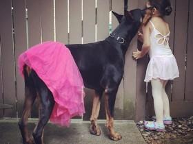 女孩与杜宾犬:不论睡觉还是洗澡  都在一起 (组图)