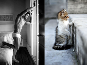 20张帅哥模仿猫咪表情和动作的照片 很帅很可爱