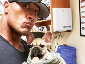 巨石强森忍着悲痛 告诉养狗人一定要注意的事情