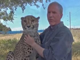 男子曾经照顾年幼的猎豹宝宝 一年后与它再次重逢