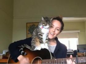 弹着吉他、唱着歌、陪着猫 幸福就是这么简单