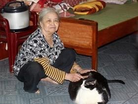 越南的这只猫咪重约40斤 可能是世界上最胖的猫