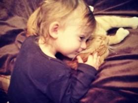 猫咪因贪吃被主人遗弃后 “因祸得福”结识一个好盆友