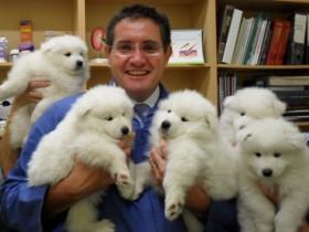 当一个宠物医生也好处 至少可以和各种宠物合照(26张)