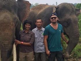 小李子在印尼与大象合影 宣传保护生态环境