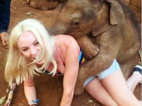 去泰国游玩的话不要骑大象了 和小象一起玩耍吧