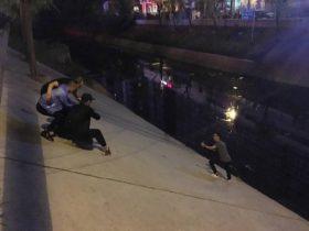 看到一只小奶猫在河里挣扎 北京几个小伙齐心合力将其救出
