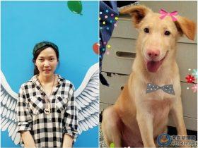 用给流浪狗安乐死的药物自杀 女兽医用生命来反抗“网络霸凌者”