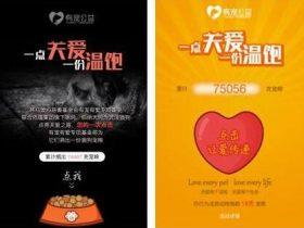 有宠公益行:走进爱笑天使动物关爱中心