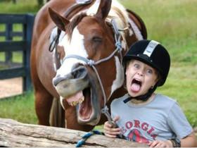 在欧洲很多家庭 为什么从小就会培养孩子对马术的兴趣