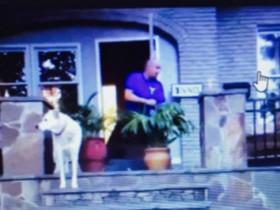 美国男子上传用鞭炮吓狗的视频 面临虐待动物罪的指控
