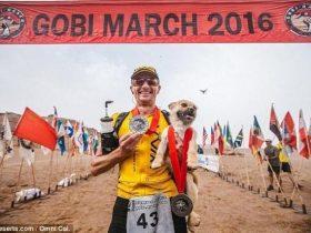 英国一男子在中国戈壁沙漠参加比赛 一只流浪狗陪他跑完赛程