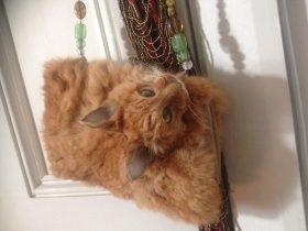 新西兰网站拍卖猫咪标本手提包 起价1400美元