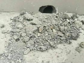 仓鼠在网友家的水泥墙上挖了个洞 逃出去自己闯荡江湖了