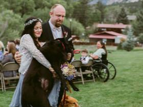 女儿的婚礼，心爱的狗狗无法参加，老爸想了一个绝妙方法