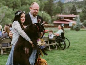美国一名女兽医决定让罹患脑瘤的宠物 陪她走进婚礼完成终身大事