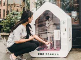 一款为狗狗们设计的智能安全狗窝“Dog Parker” 不怕丢狗了