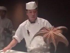 韩国厨师表演活切章鱼的视频 在网上遭到动保组织的抵制