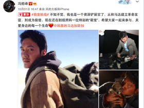 “萌宠挑战”活动的小目标已完成 将为流浪动物捐献100万物资