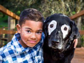 母亲为患有白癜风的儿子找到了一只狗狗 治愈了男孩的心病