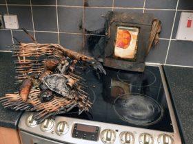 英国一只狗狗趁主人不在家 在厨房里制造了一起火灾