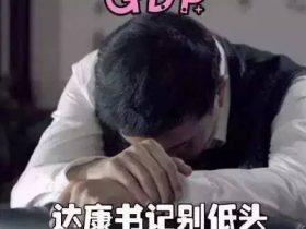 日记：达康书记别低头，GDP会掉！