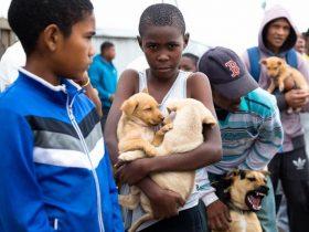 贫困地区一位13岁的小男孩，为救一只狗，步行3公里寻求帮助