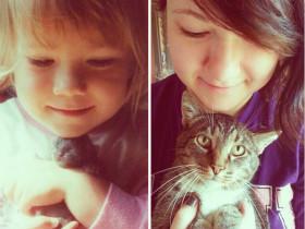 在外地打拼的年轻人,为什么越来越喜欢养宠物?