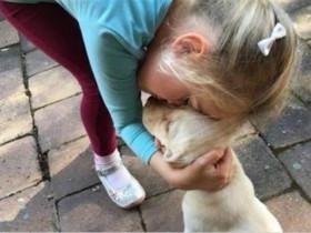 小女孩心爱的狗狗被偷了,她很心碎,小偷又悄悄地将狗狗归还