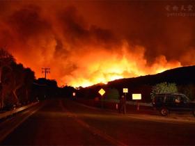 2020 开年：澳洲大火还在烧，12 亿动物死亡，65 万蝙蝠飞出