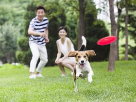 人与人之间最舒服的关系,都符合“二八定律”