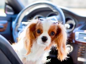 你的强大,来自你的孤独