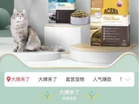天猫国际关爱宠物公益在行动,爱肯拿以“精细化喂养”守护宠物健康
