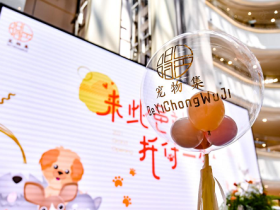 悄然兴起的千亿级市场,得邑宠物集助力宠物经济崛起
