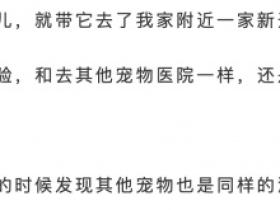 宠物医院真的像莆田系医院那么不堪吗?