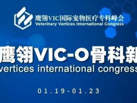 宗师加持!高、精、尖骨科技术扎堆亮相,完善你的骨科手术逻辑|鹰翎VIC-O骨科新技术大会