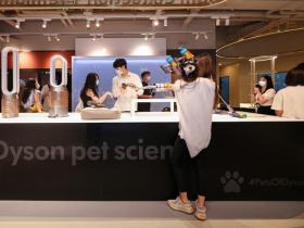 戴森整屋解决方案:深入调研科学养宠新理念 以创新科技提供宠物清洁新选择